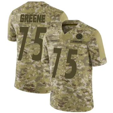 Youth Pittsburgh Steelers Joe Greene Camo Limited 2018 Salute to Service Jersey By Nike
